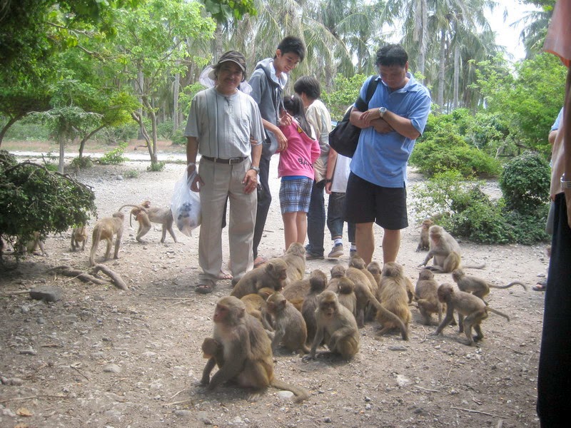 Du khách thăm Đảo Khỉ